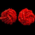 Vintage 1960s Red Bugle Bead Cluster Post Earrings